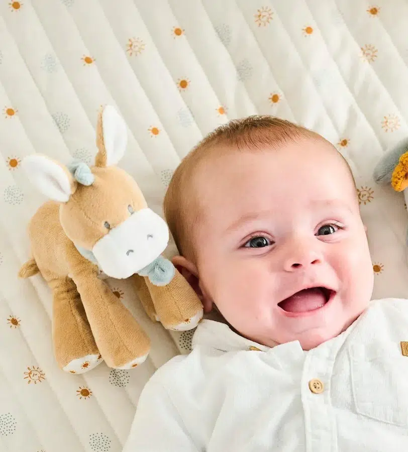 Игрушка мягкая Nattou Rattle MINI FELIX & LEO Ослик 595032