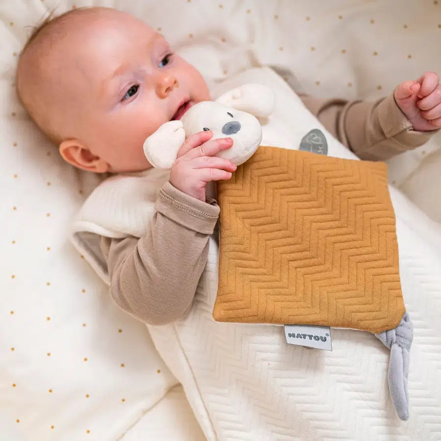 Игрушка мягкая Nattou Doudou малая CHARLIE Собачка caramel 388092