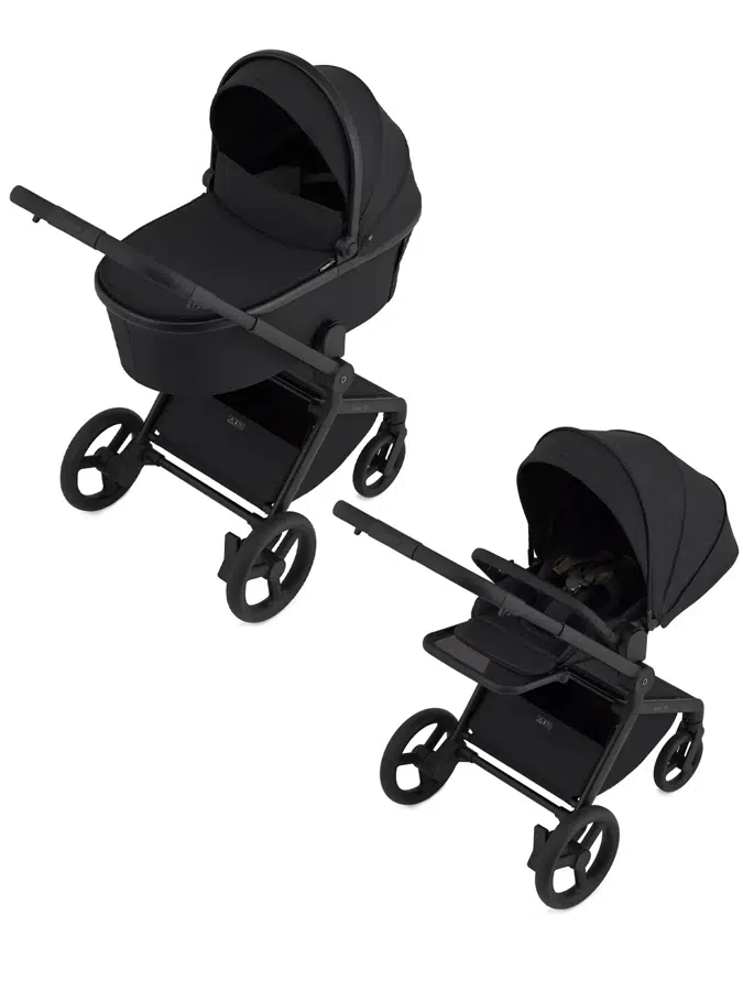 Коляска 2 в 1 ANEX Flo Lungo fl-05c (2 коробки)