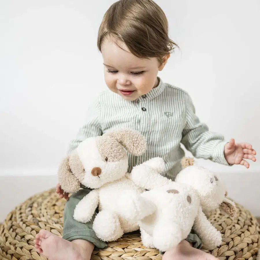 Игрушка мягкая Nattou Soft toy TEDDY Собачка 856317, бежевый, плюш