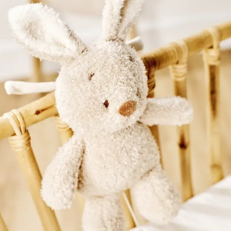 Игрушка мягкая Nattou Musical Soft toy TEDDY Кролик музыкальная 856386