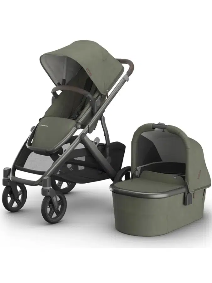 Коляска 2 в 1 UPPAbaby VISTA V3 Evelyn 0303-VIS-EU-EVE