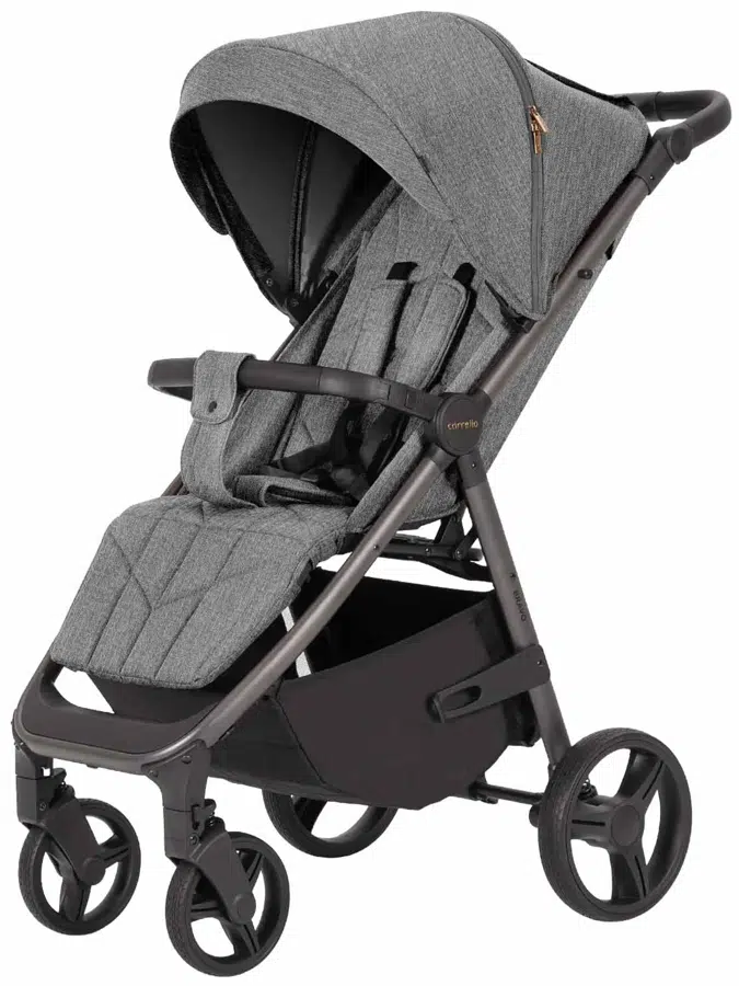 Коляска прогулочная CARRELLO Bravo PU Metal Grey